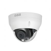 Camera quan sát IP DAHUA DS2230RDIP-S2 (2.0 megapixel, hồng ngoại 30m)